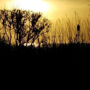 Meet your Posher, Helen